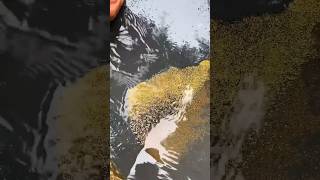 This man turned out real gold from the soil 😱 ytshort shortvideo shorts [upl. by Robi426]