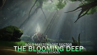 Solo Flawless Master Lost Sector  Hunter Destiny 2 The Blooming Deep [upl. by Jany]