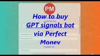 How to buy GPT signals bot via Perfect Money [upl. by Eeliah]