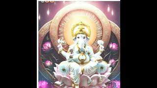 Ganesh ji ki kripa 🙏 ganesh ganesha ganeshutsav [upl. by Airekat]