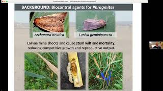 A Canadian Biocontrol Update [upl. by Ahsets]