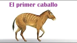 Eohippus  El primer caballo de la historia [upl. by Uriisa246]