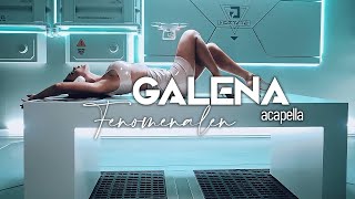 Galena  Fenomenalen Acapella [upl. by Jeffcott]