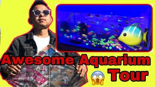 Awesome Aquarium Fish Tour😱🐠 Dashain aayo kta ho😱 [upl. by Attemaj]