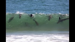 Offroad Adventure Namibia Day 21 Walvis Bay  Pelican Point [upl. by Anialam]