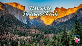 Yosemite National Park [upl. by Nnhoj]