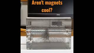 Magnetic Field Visualization physics magnet electromagnetictheory experiment pascoscientific [upl. by Ernaline]