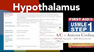 Hypothalamus all nucleus of hypothalamus amp their functions Kallmann syndrome in HindiUrdu [upl. by Nnylorac]