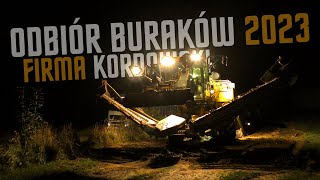 ODBIÓR BURAKÓW 2023 Z FIRMĄ KORDOWSKI [upl. by Aicak]