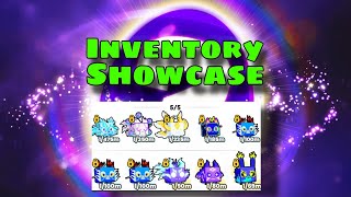 Inventory showcase in PETS GO [upl. by Nevyar]