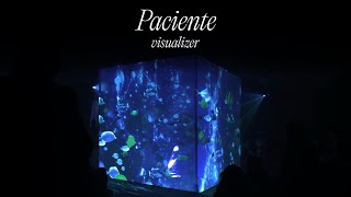 Juliana  Paciente Visualizer [upl. by Otreblada]