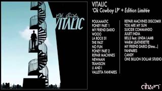 Vitalic  Wooo [upl. by Nivonod]