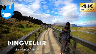 Þingvellir  Walking in Iceland 4K [upl. by Otsuj]