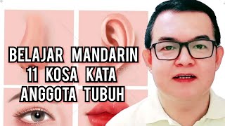 Belajar Mandarin  11 Kosa Kata Nama Anggota Tubuh [upl. by Querida]