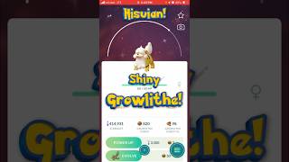 Shiny Hisuian Growlithe becomes a Noble Pokemon pokemoncollector legendarceus pokemongo hisui [upl. by Erreid]