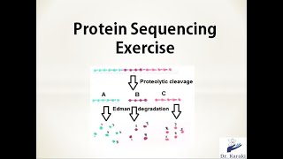 Drawing and Naming a Peptide [upl. by Zarger]