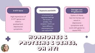 Genetic and Environmental Causes of Postpartum Depression [upl. by Yvette760]