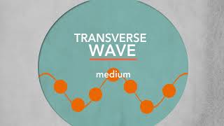 Transverse Waves  Sci NC [upl. by Laughlin543]