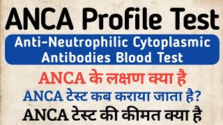 ANCA Profile test in hindi  AntiNeutrophilic Cytoplasmic Antibodies Blood Test  Symptoms amp Price [upl. by Atinnek]