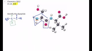 Identify the following dipeptide [upl. by Divadnoj]