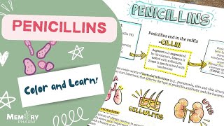 Penicillin Antibiotics Made Easy Mnemonics Mechanism of Action Side Effects Counseling Points [upl. by Coussoule]