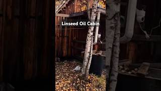 Linseed Oil Secrets for a STUNNING Cabin [upl. by Cassil]