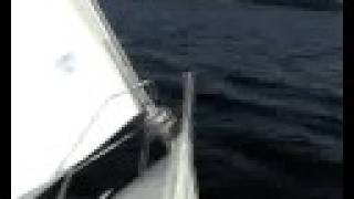 42feet Sailing Yacht [upl. by Anissa]