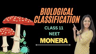 BIOLOGICAL CLASSIFICATION  CLASS 11 NEET  MONERA [upl. by Cheshire474]