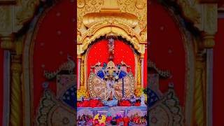 Sawariya Seth 4kHd Status Video🥰Sawariya Seth Chittorgarh🙏sawariyashortsstatusytshortstrending [upl. by Lauber511]