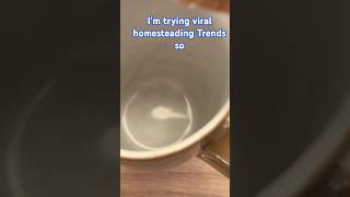 Im trying viral homestead in trends so you dont have to homestead healthyrecipes bonebroth ￼ [upl. by Fanni]