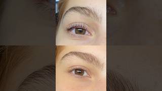 Lash lift tutorial beauty popular lashes [upl. by Lemuelah]