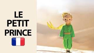 Le Petit Prince  Antoine de SaintExupéry livre  audio [upl. by Llednohs]