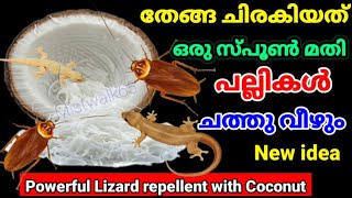 പല്ലികൾ ചത്തു വീഴുവാൻ ഒരു സ്പൂൺ തേങ്ങ ചിരകിയത് മതിlizardrepellent [upl. by Arakal]