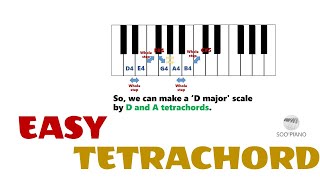 Tetrachord for Beginner [upl. by Zaller798]