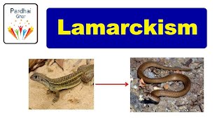 Lamarck Theory Of Evolution  Lamarckism pardhaighar [upl. by Neliac]