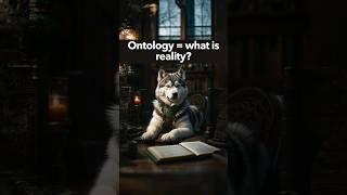 What is ontology researchmethods research shorts shortvideo learning philosophy [upl. by Sowell]