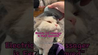 Electric Cat Massager is Ferdi Approved™ [upl. by Bernard]