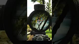 Rogue Sniping on Lighthouse tarkov [upl. by Armalla]