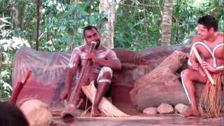 Aboriginal Dance  Kuranda QLD [upl. by Pizor]