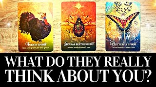 PICK A CARD 🔮 🤔 WHAT DO THEY REALLY THINK ABOUT ME 🤔 🔮 PlatonicRomanticFamilyWork Tarot Reading [upl. by Kaleb]