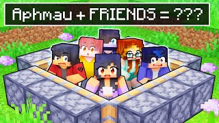 Aphmau  ALL FRIENDS   In Minecraft [upl. by Ianahs929]