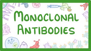 GCSE Biology  Monoclonal Antibodies 40 [upl. by Vilberg749]