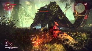 Gamermd83s How to Play The Witcher 2 Killing The Kayran Xbox 360 Part 8 [upl. by Gniliem]