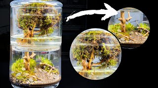 2 Tier Moss Tree Terrarium and Pond [upl. by Lepp]