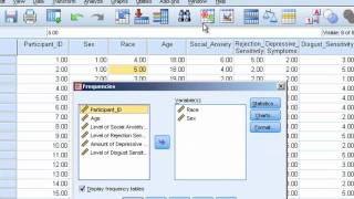 Frequencies and Descriptive Statistics [upl. by Lussier614]