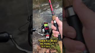 Catching every fish in PA pt6 RAINBOW TROUT IM BACK fishing pafish jesus [upl. by Barcroft]