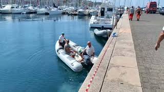 Balenottera morta a Muggia tecnici al lavoro a Porto San Rocco [upl. by Reynolds]