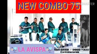 🐝LA AVISPA🐝New combo 75 [upl. by Tabbitha]