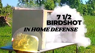 IS 12 GAUGE 7 12 BIRDSHOT GOOD FOR HOME DEFENSE [upl. by Aneetsirk978]