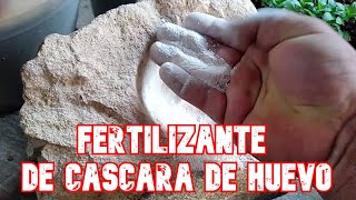 PARA QUE TUS PLANTAS CREZCAN Y DEN FRUTOS RAPIDO FERTILIZANTE CASERO [upl. by Roselle163]